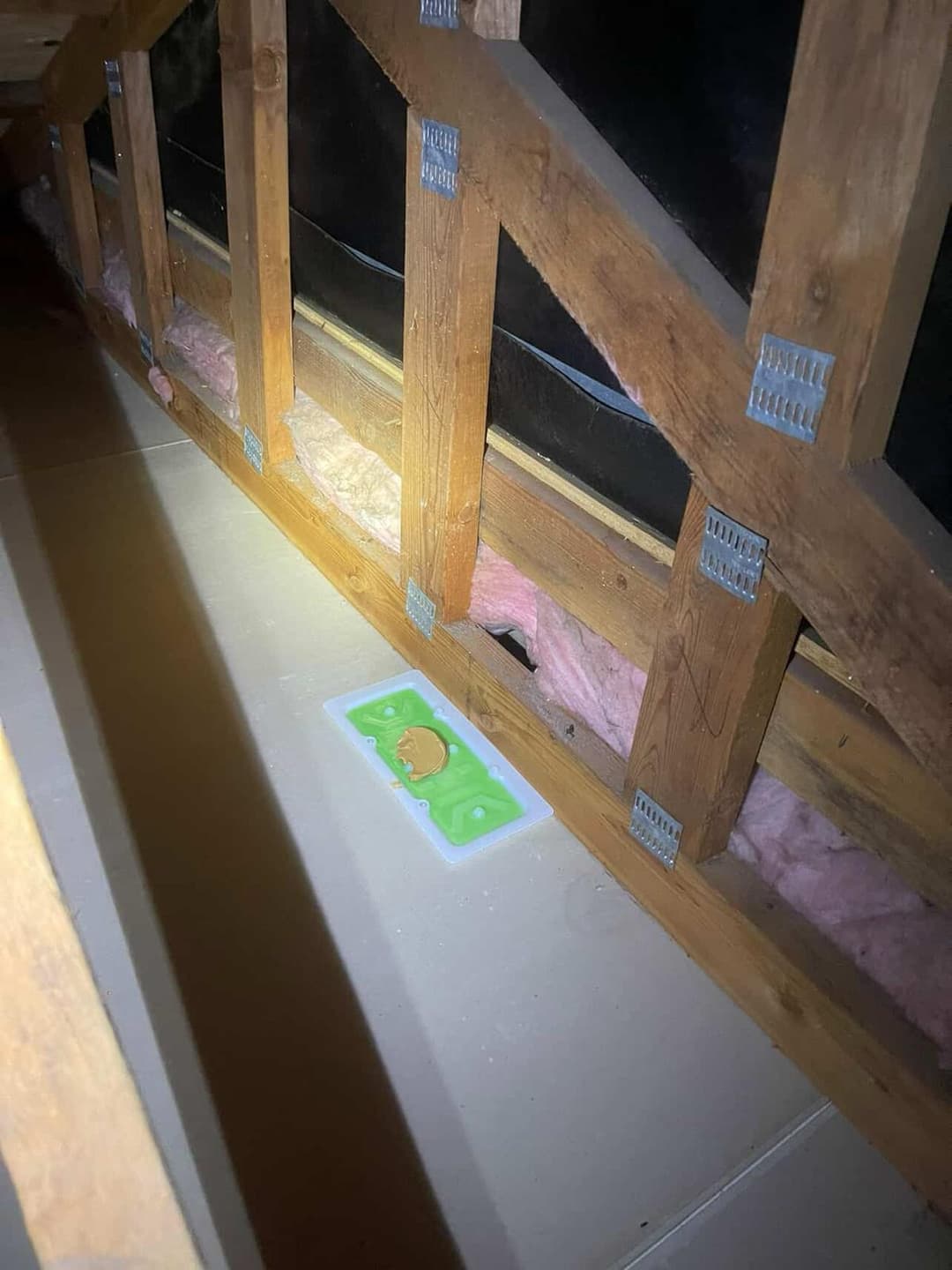 adding rodent traps to the attic to stop rodent infestation